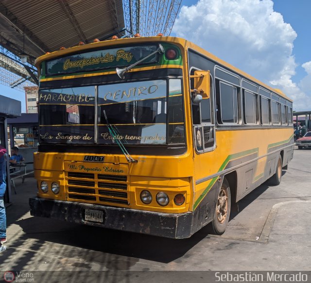 ZU - Colectivos Concepcin 45 por Sebastin Mercado