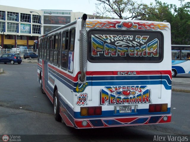 Expresos Pegamar 0010 por Alex Vargas