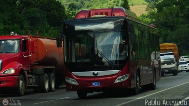 Escuela de Aviaci�n Militar Bolivariana AV233 por Pablo Acevedo