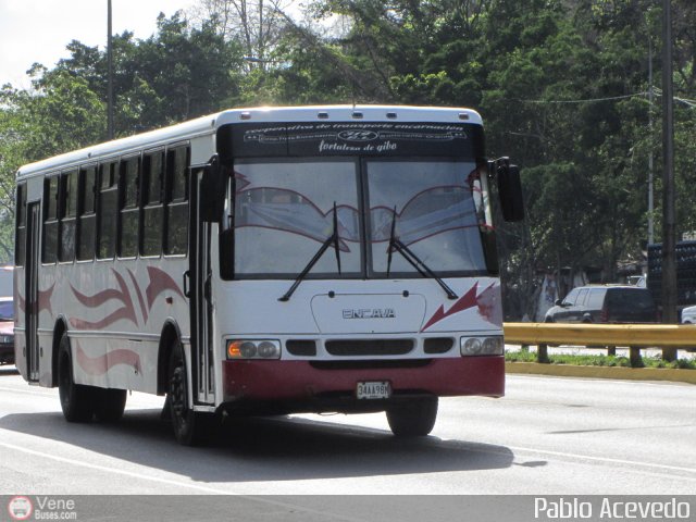 A.C. de Transporte Encarnacin 319 por Pablo Acevedo