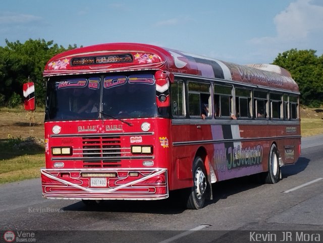 Transporte Agua Blanca 11 por Kevin Mora