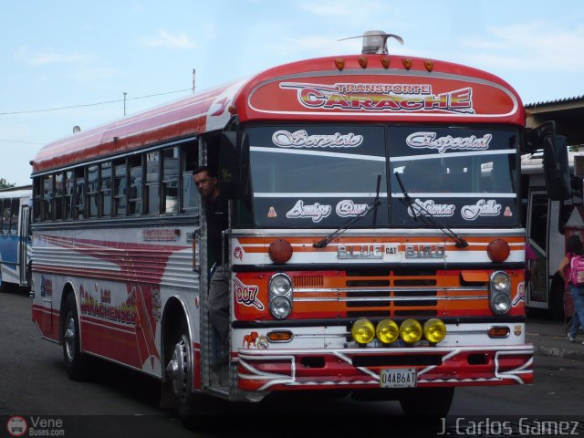 Transporte Carache 07 por J. Carlos Gmez