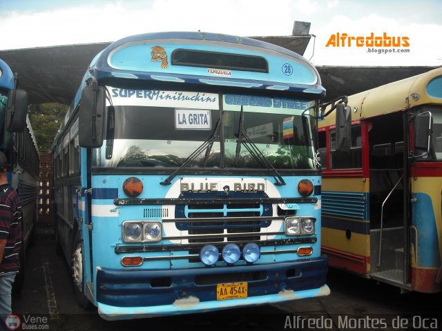 Expresos Continente C-28 por Alfredo Montes de Oca