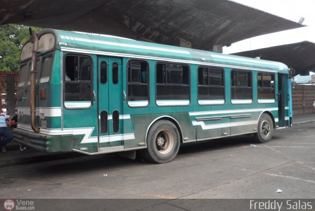 Expresos Continente C-11 por Freddy Salas