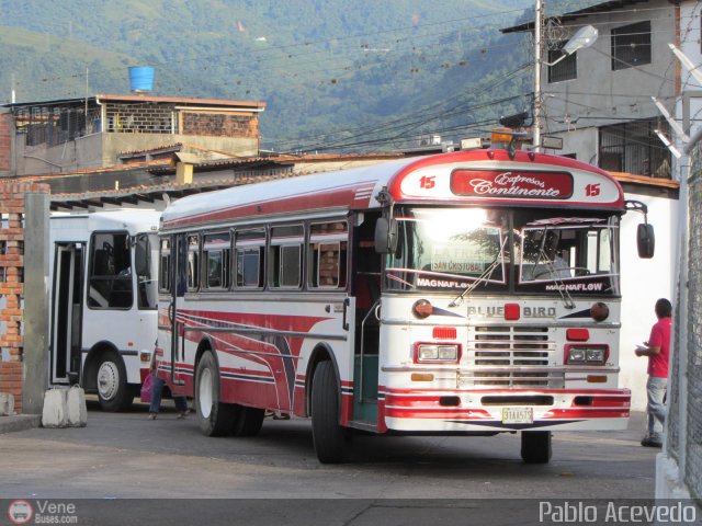 Expresos Continente C-15 por Pablo Acevedo