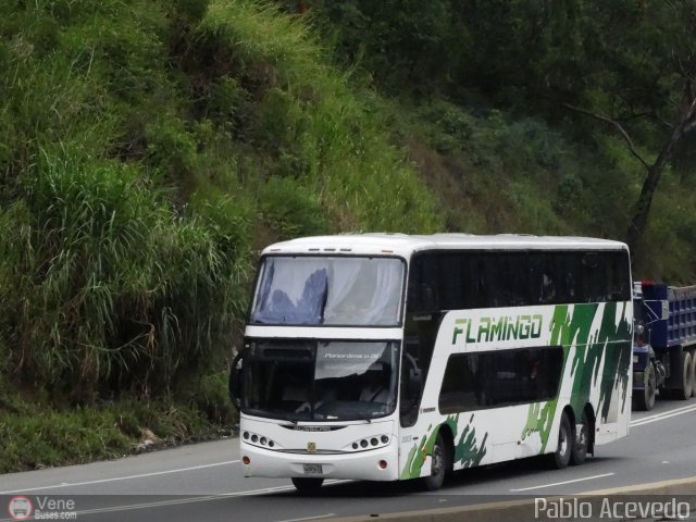 Expresos Flamingo 0005 por Pablo Acevedo