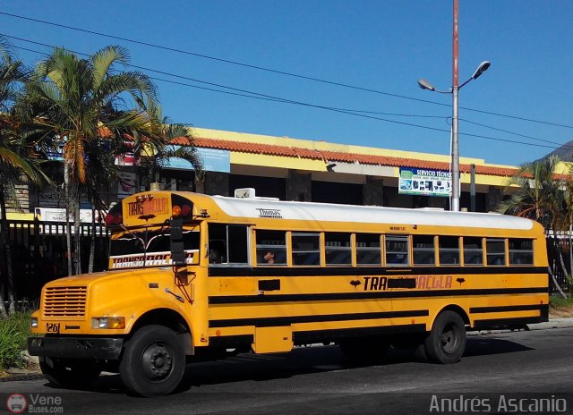 CA - TransDrcula 26 por Andrs Ascanio