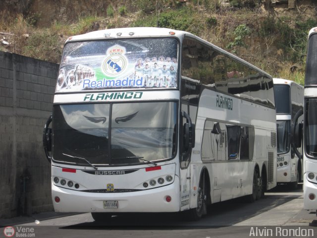 Expresos Flamingo 0441 por Alvin Rond�n