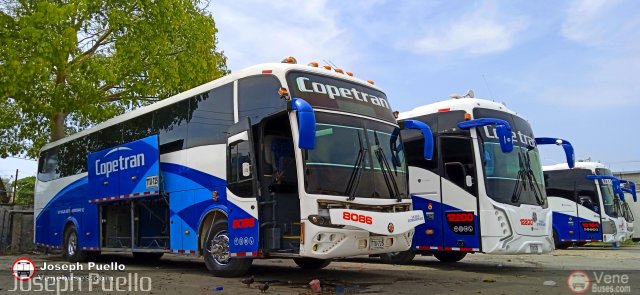 Copetran 8086 por Joseph Puello