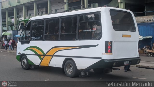 ZU - Colectivo Pomona 31 por Sebastin Mercado