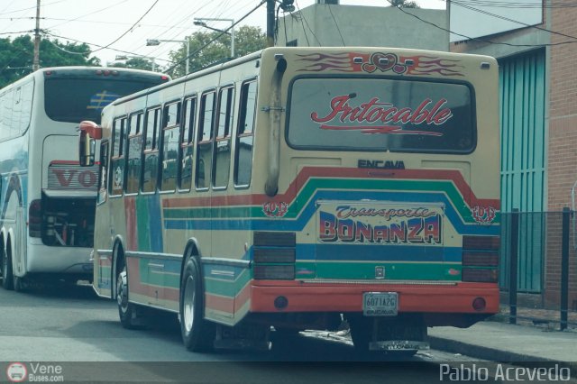Transporte Bonanza 0001 por Pablo Acevedo