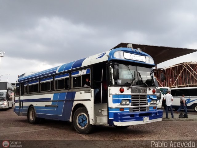 Expresos Continente C-03 por Pablo Acevedo