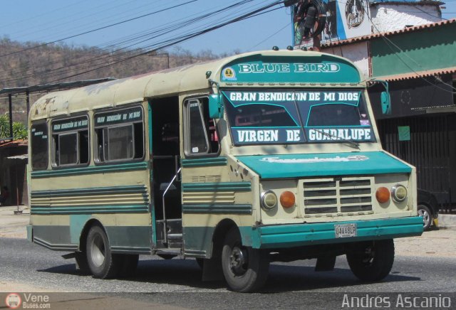 CA - Asociaci�n Cooperativa Transcunlaude 27 por Andr�s Ascanio