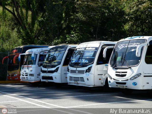 Garajes Paradas y Terminales Caracas por Aly Baranauskas