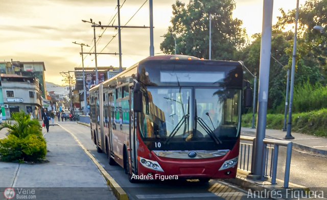 Trolmerida - Tromerca 10 por Andrs Figuera