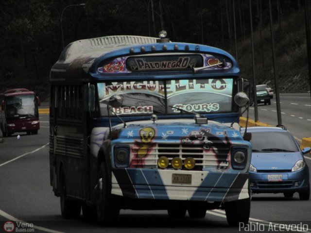 Transporte Colectivo Palo Negro 42 por Pablo Acevedo