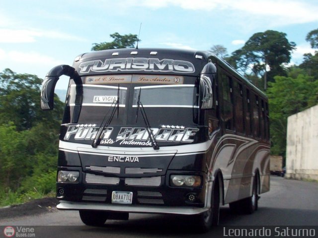 Lnea Los Andes S.C. 093 por Leonardo Saturno
