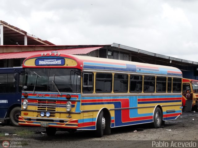 A.C. Transporte Independiente 51 por Pablo Acevedo