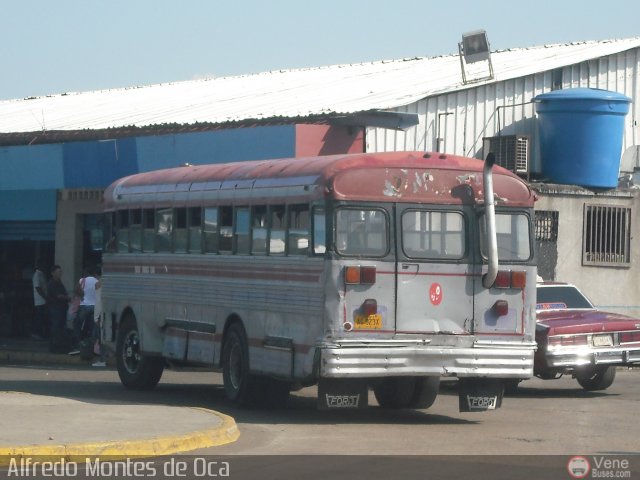 Colectivos Guana C.A. 01 por Alfredo Montes de Oca