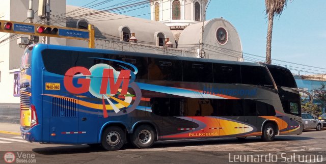 Transportes GM Internacional 960 por Leonardo Saturno