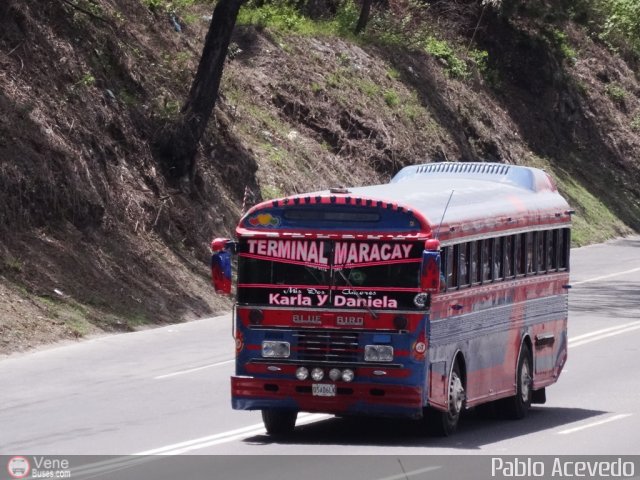 Transporte Colectivo Palo Negro 67 por Pablo Acevedo