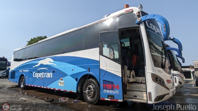 Copetran 11914 por Joseph Puello