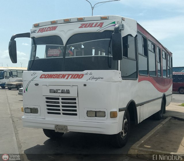 U.C. Falc�n Zulia 28 por �ngel Delgado