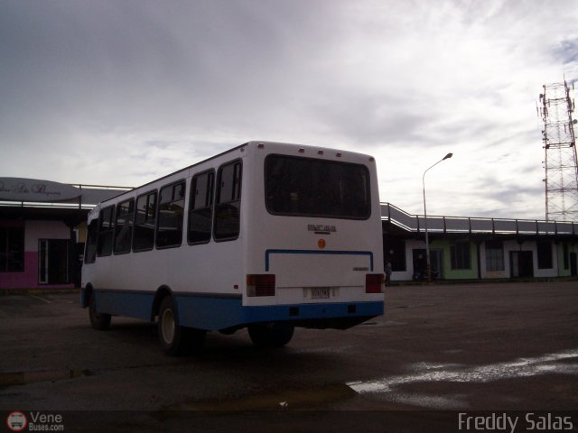 TA - A.C. L�nea Intercomunal 19 por Freddy Salas