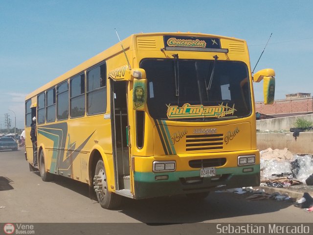 ZU - Colectivos Concepci�n 015 por Sebasti�n Mercado