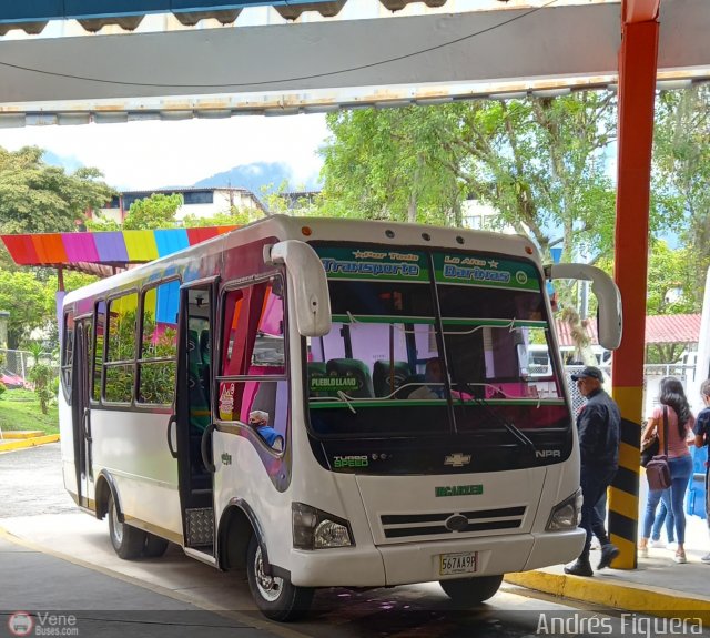 Transporte Barinas 065 por Andrs Figuera