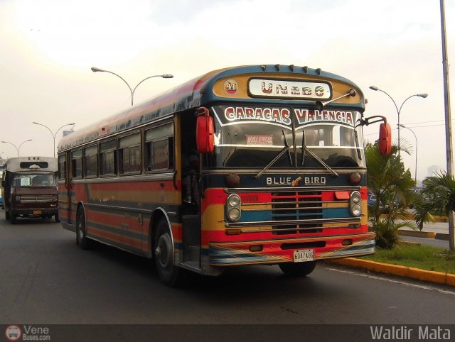 Transporte Unido 041 por Waldir Mata