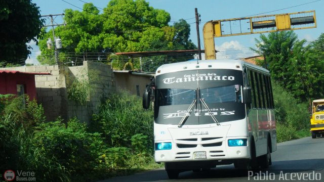 A.C. de Transporte Sol de Tamanaco 15 por Pablo Acevedo