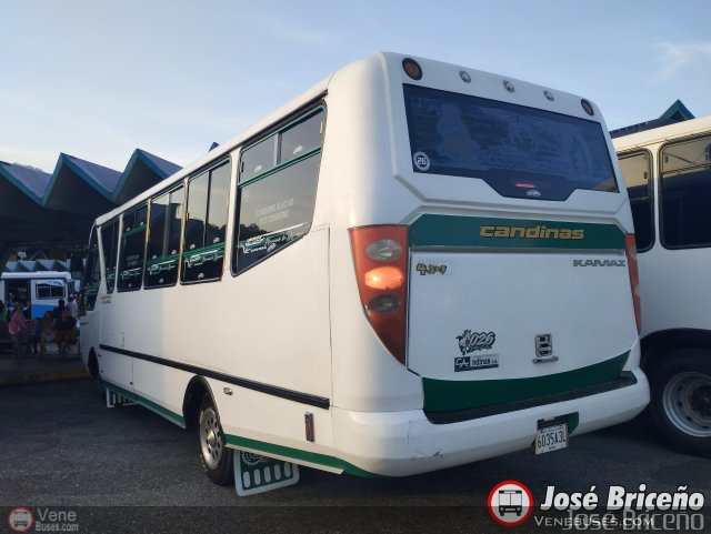 Transporte Barinas 026 por Jos Briceo