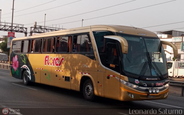 Transporte Flores Hermanos S.R.L 960 por Leonardo Saturno