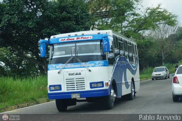 L�nea El Pi�al A.C. 46 por Pablo Acevedo