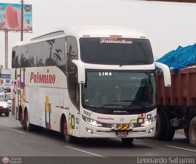 Expreso Internacional Palomino 7023 por Leonardo Saturno