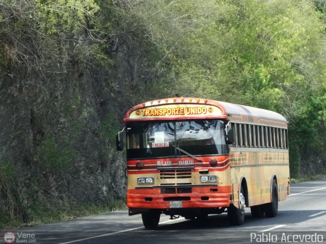 Transporte Unido 010 por Pablo Acevedo