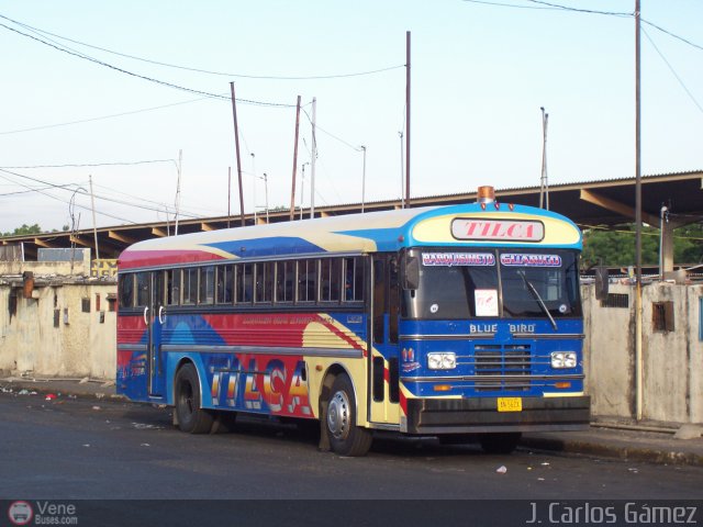 Lnea Tilca - Transporte Inter-Larense C.A. 11 por J. Carlos Gmez