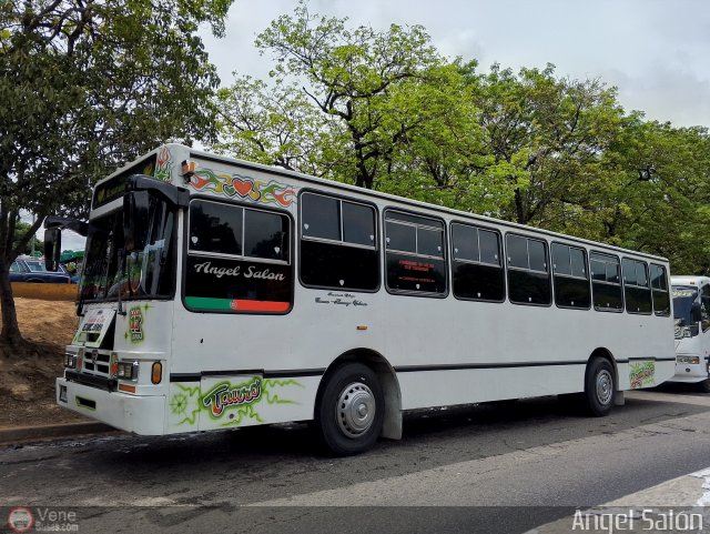 Transporte El Esfuerzo 17 por �ngel Sal�n