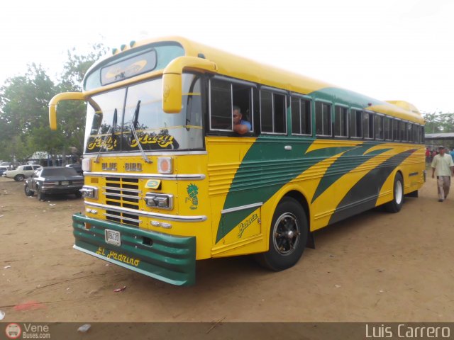 ZU - Colectivos Concepci�n 021 por Luis Enrique Carrero