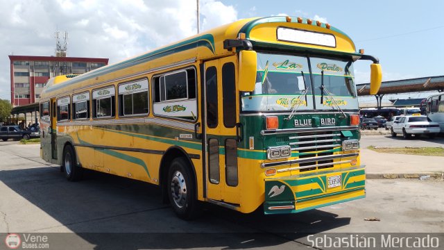 ZU - Colectivos Concepci�n 073 por Sebasti�n Mercado