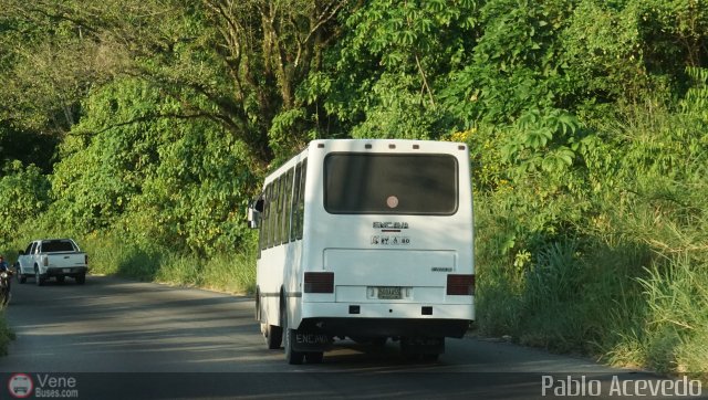 A.C. Expresos Barinas 111 por Pablo Acevedo