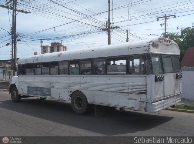 ZU - Colectivo Pomona 11 por Sebastin Mercado