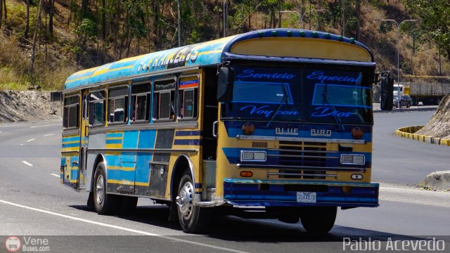 Transporte Colectivo Camag 10 por Pablo Acevedo