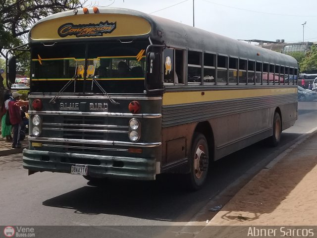 ZU - Colectivos Concepci�n 104 por Abner Sarcos