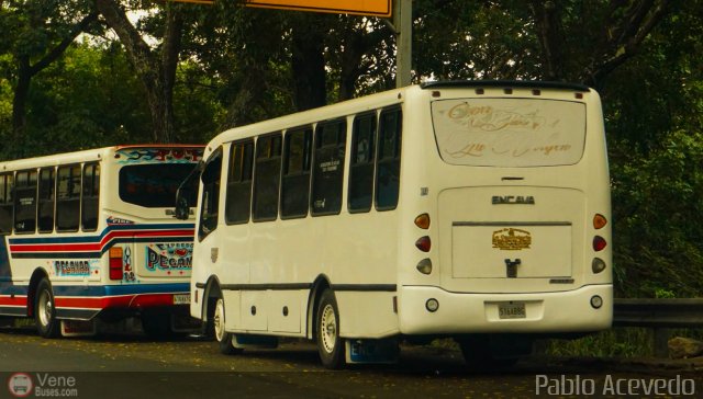 Coop. de Transporte La Candelaria 19 por Pablo Acevedo