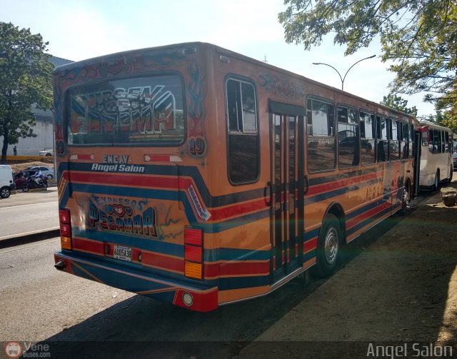 Expresos Pegamar 0019 por �ngel Sal�n
