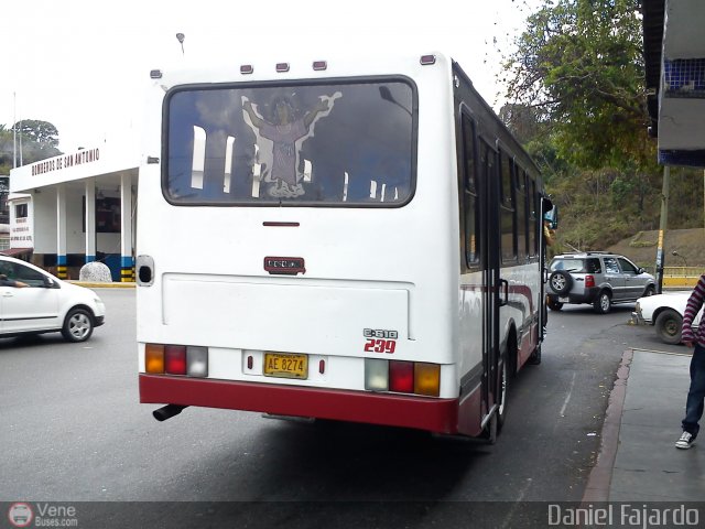 U.C. San Antonio S.C. 239 por Daniel Fajardo