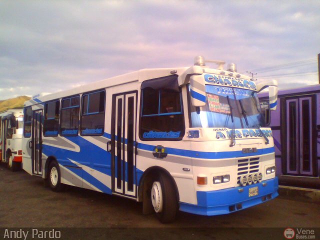 CA - Asociaci�n Coop. El Trigal R.L. 58 por Andy Pardo