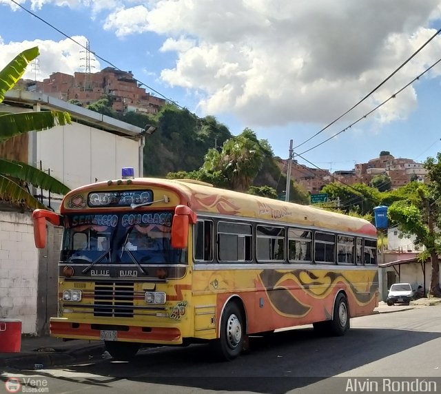 Transporte Guacara 0010 por Alvin Rondn